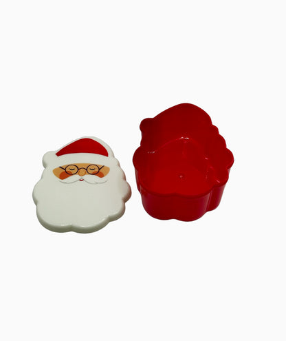 Small Santa Case